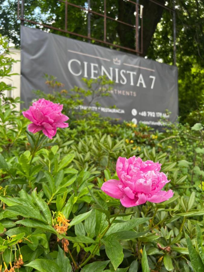 Cienista 7 Apartments Lądek-Zdrój Buitenkant foto